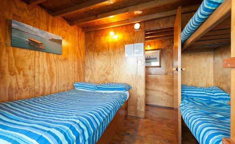 YHA Bay of Islands the Rock family room with double and bunk bed