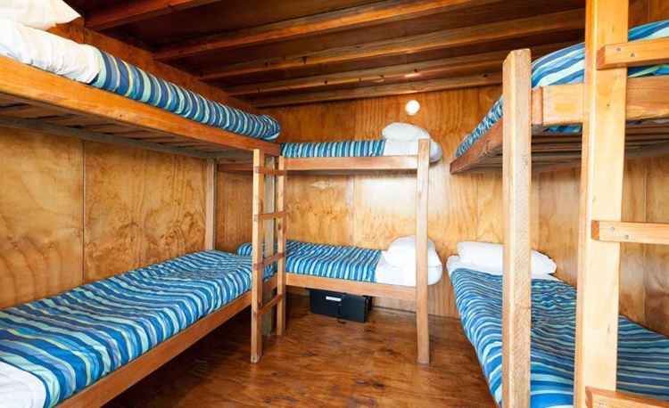 YHA Bay of Islands the Rock multishare bunk beds