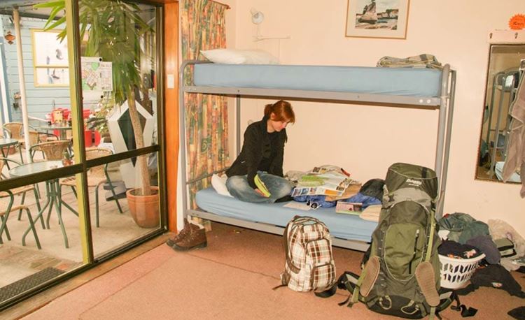YHA Picton youth traveler planning in multishare bunk bedrooms