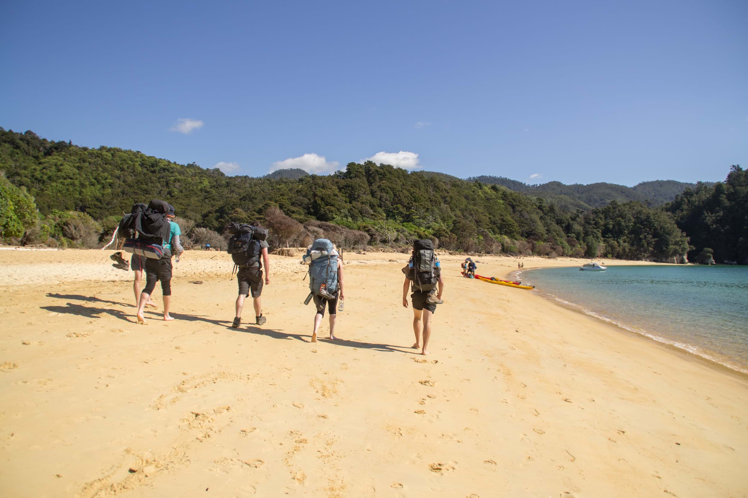 Group of travellers walking the Abel Tasman Coastal Track